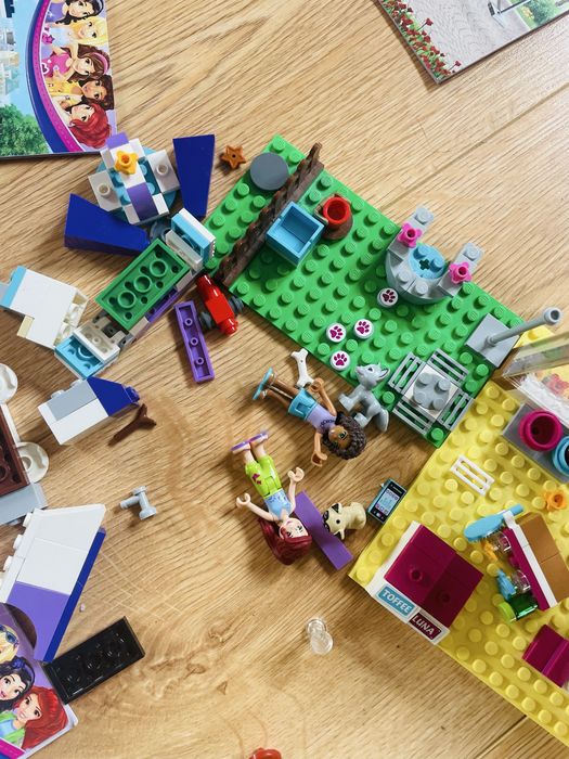 Duży zestaw Lego Frends ludzi zwierzęta !