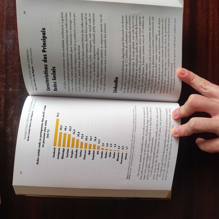 Marketing Digital para Empresas [Livro Intemporal]