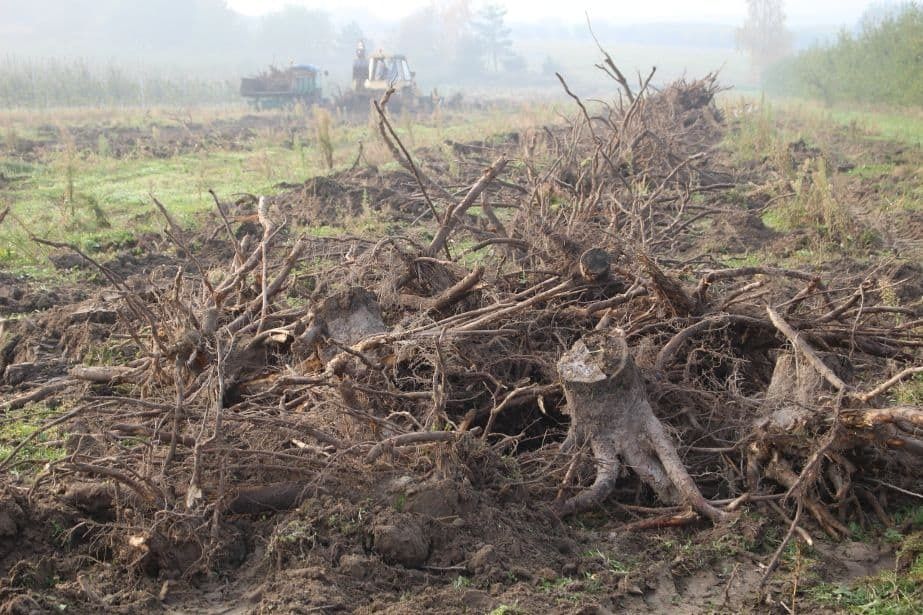 Usługi koparko ładowarką