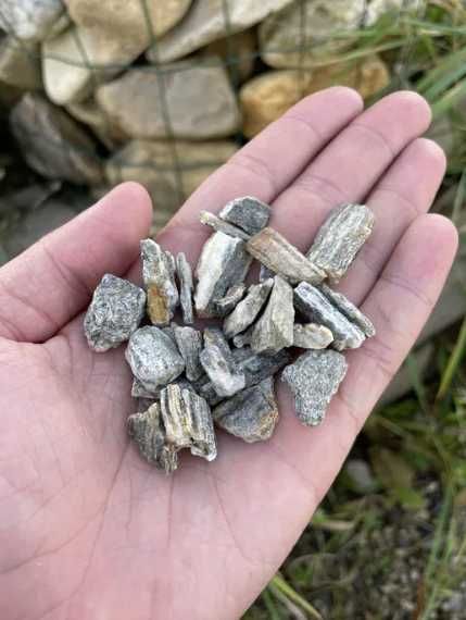 Łupek Gnejsowy Drzewiasty Kamień Ozdobny do Akwarium Kora Malawi