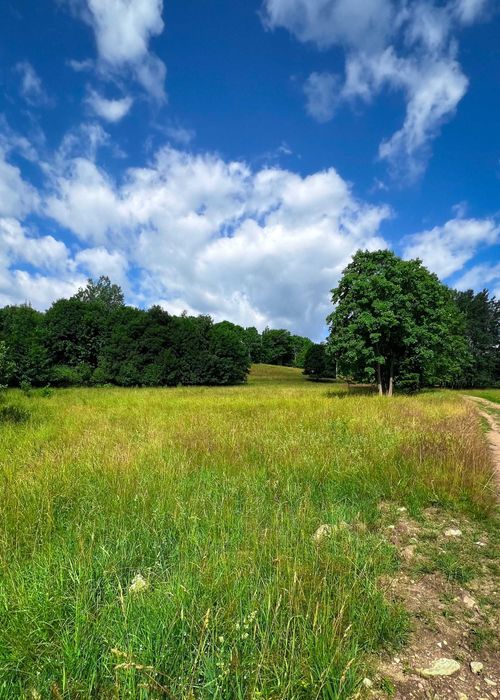Działki budowlane rekreacyjne Nowa Bystrzyca Spalona 0,56ha