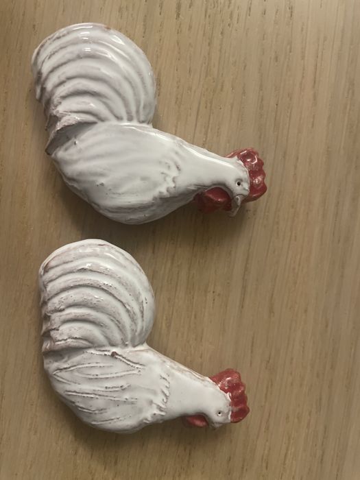 Magnes kogut z Cisnej w Bieszczadach