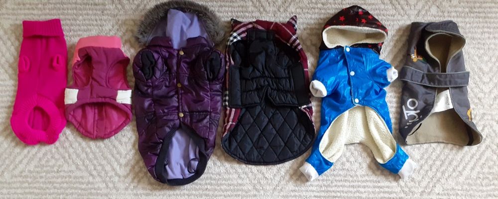 Фірмовий класний новий і б.у одяг,одежда песику,собаке,кофта,куртка