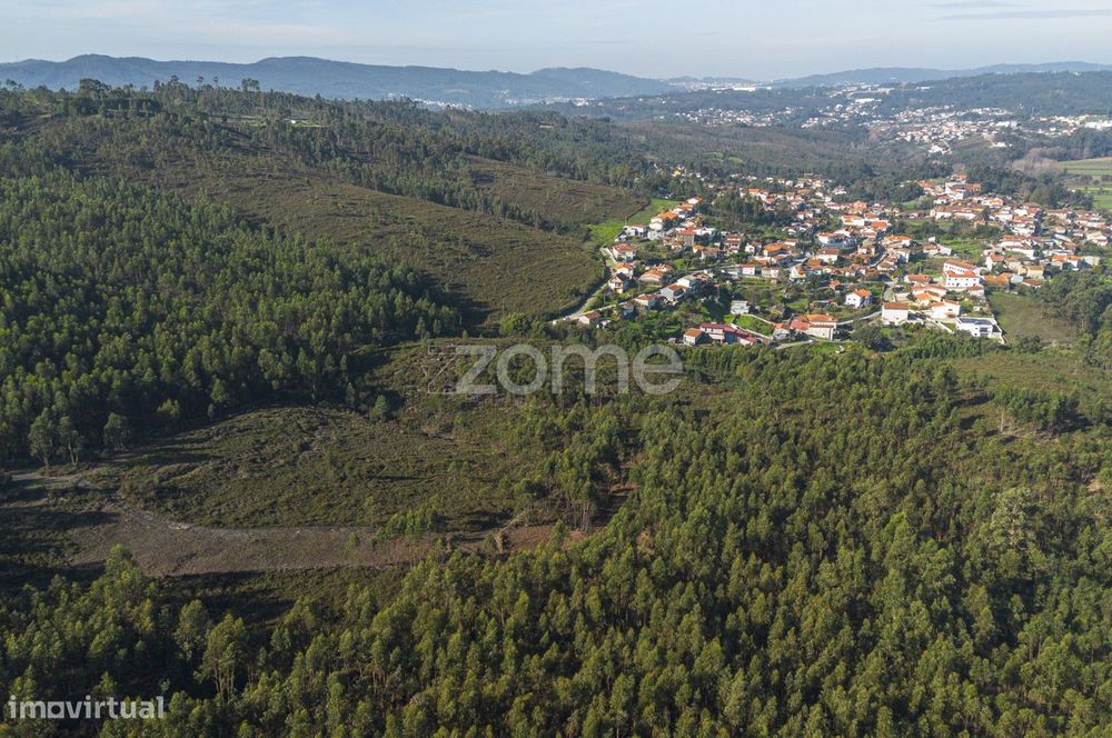 Felgueira - Terreno florestal c/ 15.130 m², em Sobreira — Sobreira, Porto