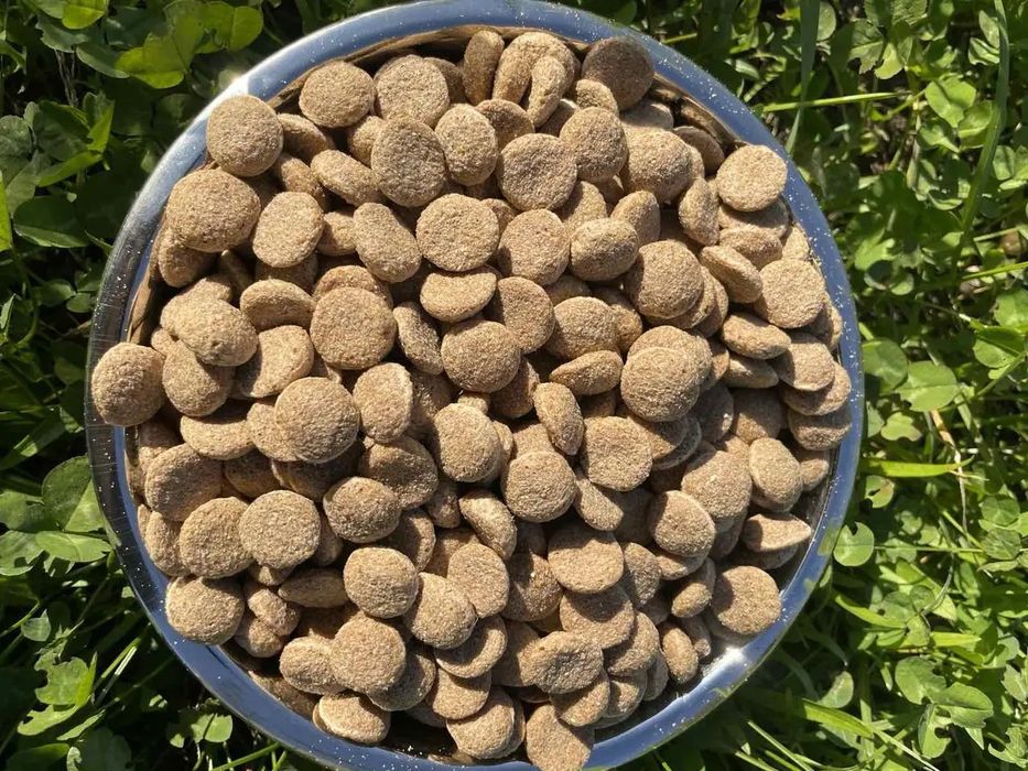 Сухий корм для собак ThankQ 20кг / Смак Ягня ! опт, дроп !