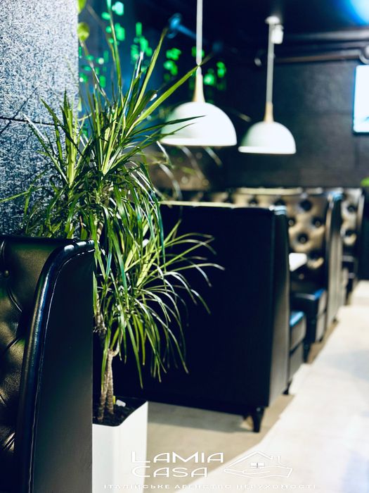 Продаж працюючого закладу. Небесна сотня (Стасюка)