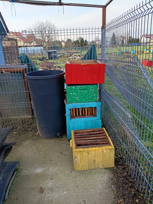 Pszczoły, pasieka ule