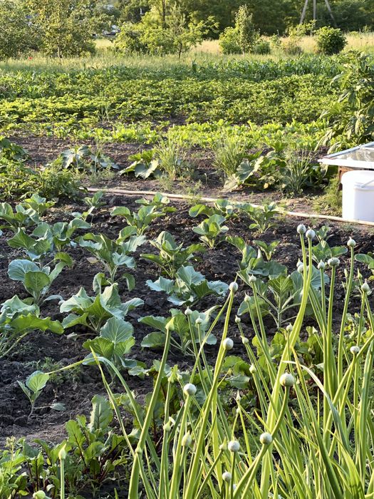 Продам дом в Баловке