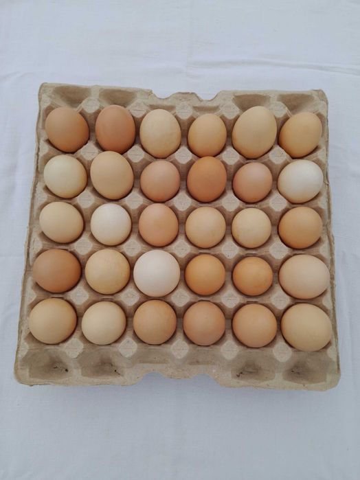 яйцо куриное домашнее Подгородное