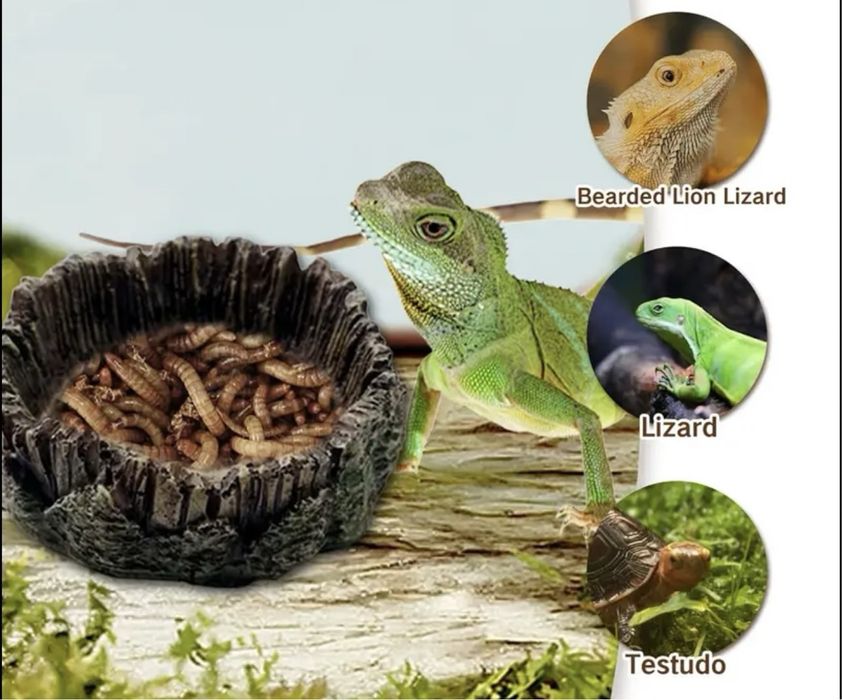 Аксесуари та обладнання для тераріуму