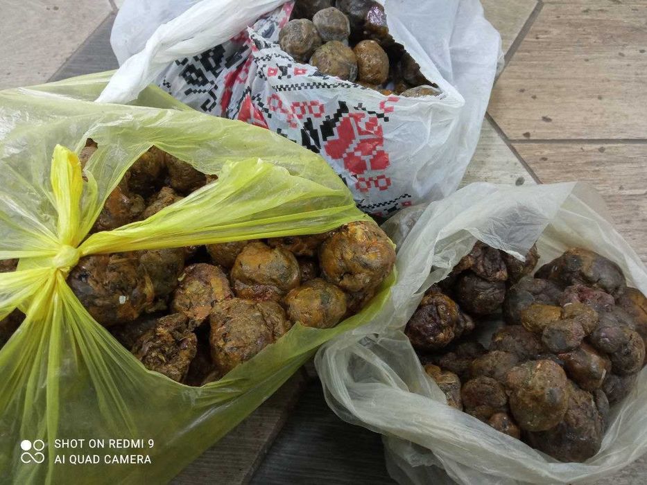 Прополіс бджолиний