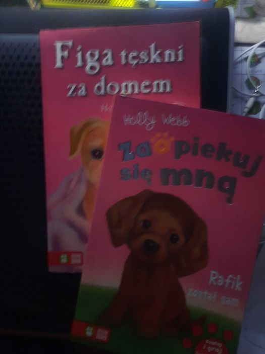 Zestaw książek Holly Webb