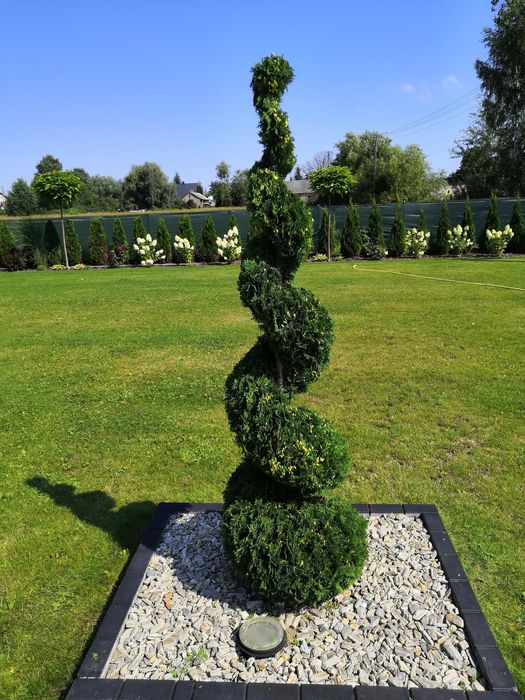 Pielegnacja ogrodów