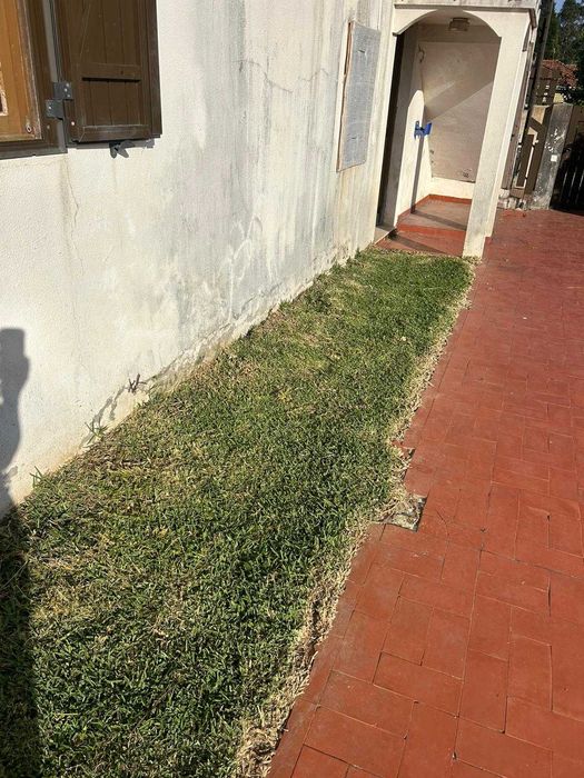 Serviços de Jardinagem e Limpeza de Terrenos