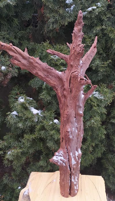 Olbrzymi korzeń do akwarium-101cm x 54cm