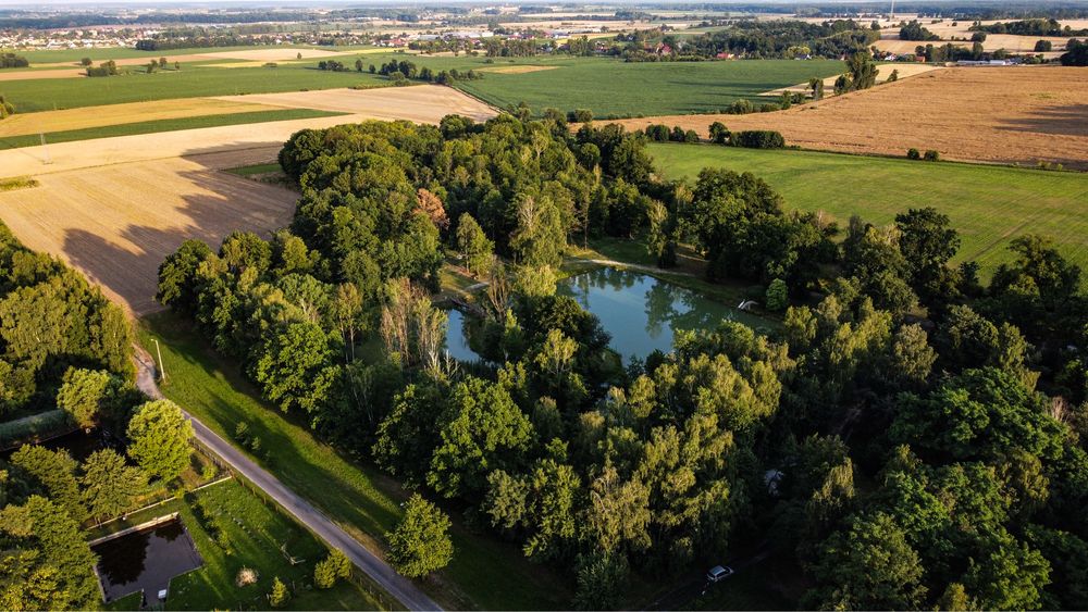 Domki letniskowe nad stawami / MARIANKOWO