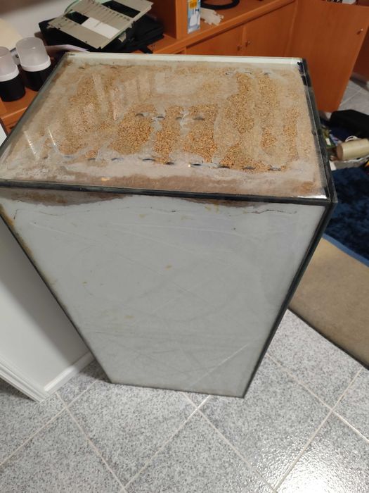 Terrário com cabo de aquecimento e lâmpada