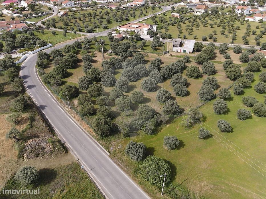 Terreno  para venda — Pedrógão, Santarém