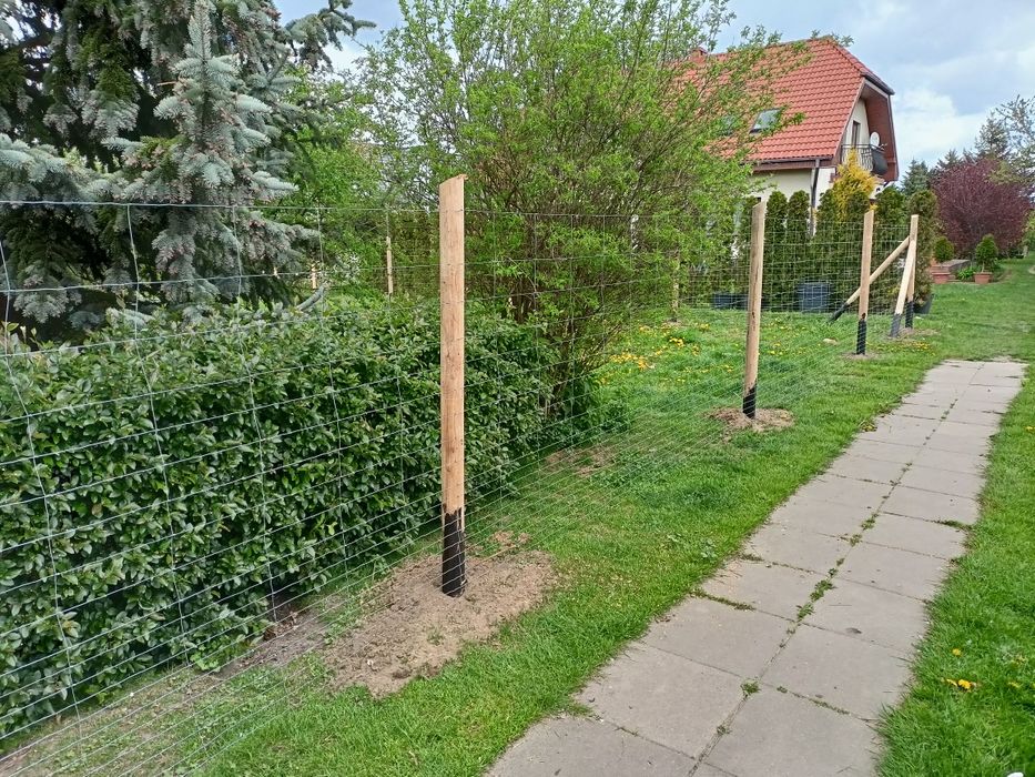 Ogrodzenie leśne tymczasowe budowlane Siatka Leśna