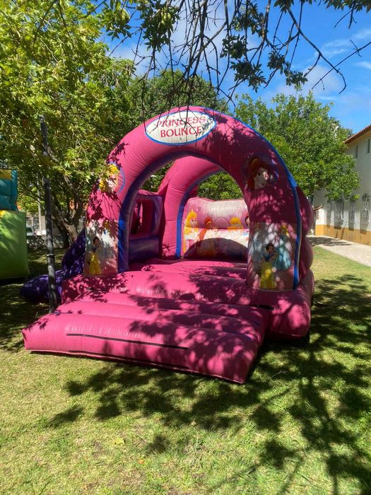 Insufláveis Profissionais para Venda