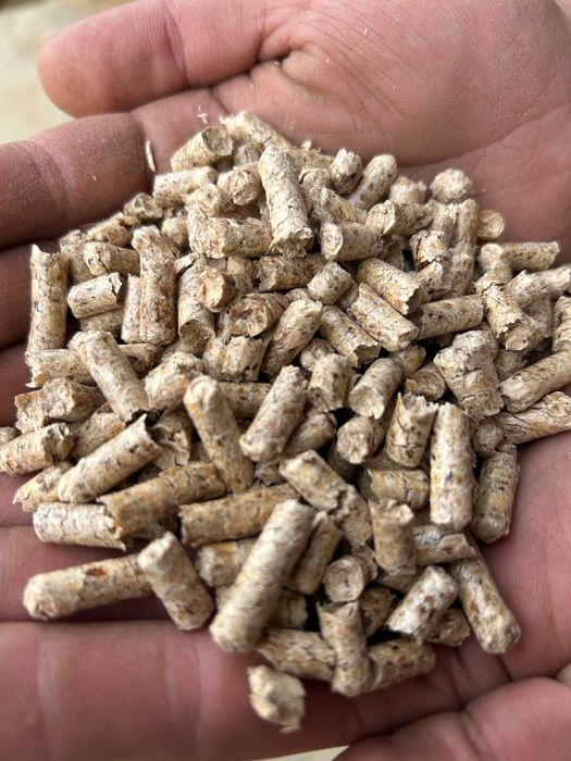 pellet sosnowo bukowy A1