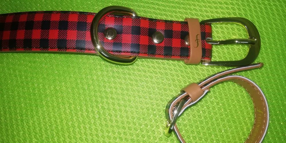 Нашийник і браслет FriendshipCollar