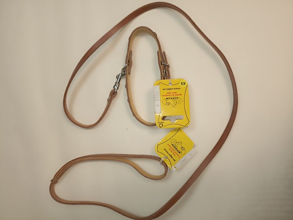 Поводок с ошейником COLLAR