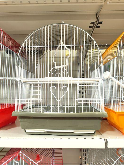 Vendo Canário   ou  Casal de Canários  (Ver descrição abaixo).