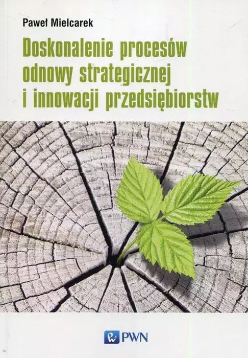 Doskonalenie Procesów Odnowy Strategicznej I Innowacji Przedsiębiorstw