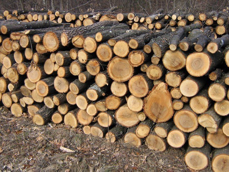 продаємо дрова, твердих порід, акація, дуб, ясен