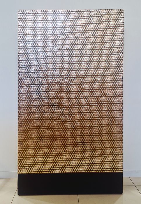 Biombos usados em Ermesinde