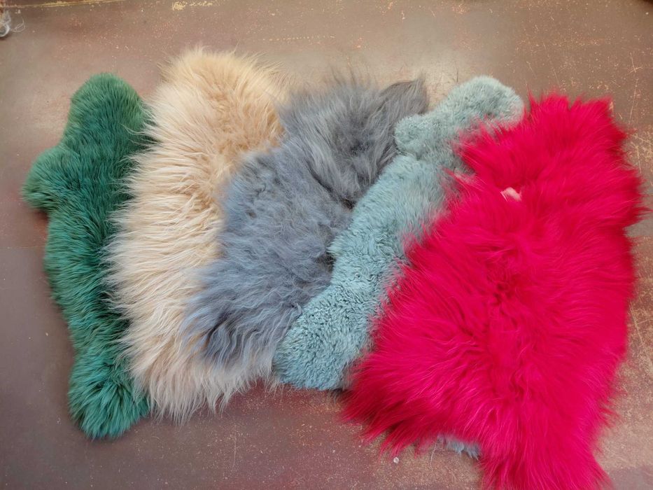 Pakiet 5 Skór Owczych Barwionych WYPRZEDAŻ Skóry Owcze 2 Klasa