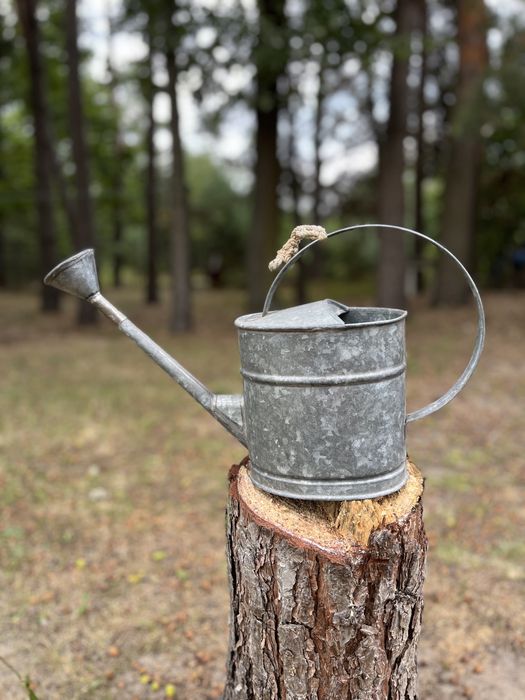 Konewka metalowa, ocynkowana 3l