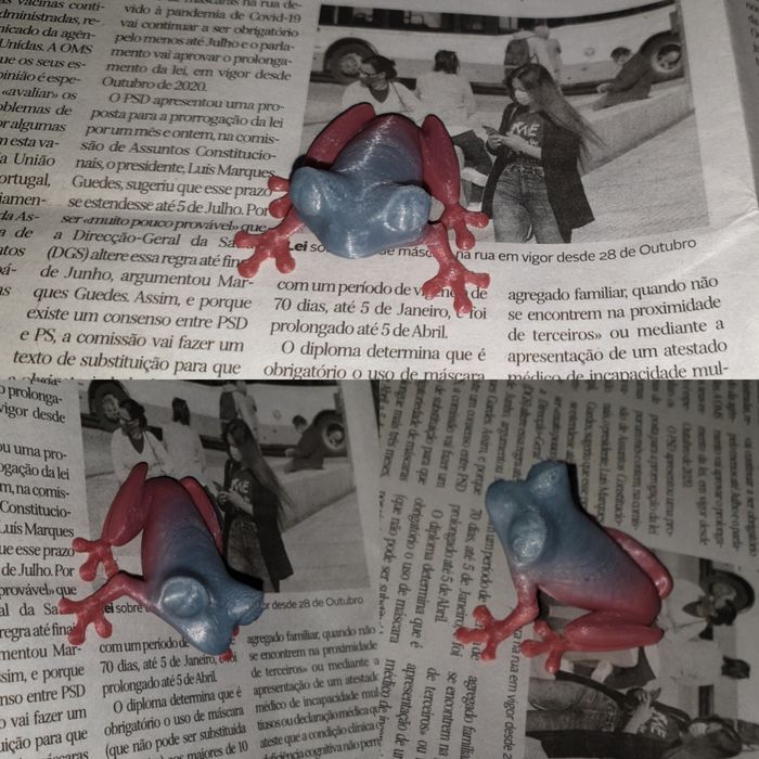 Ra colorida para decoração