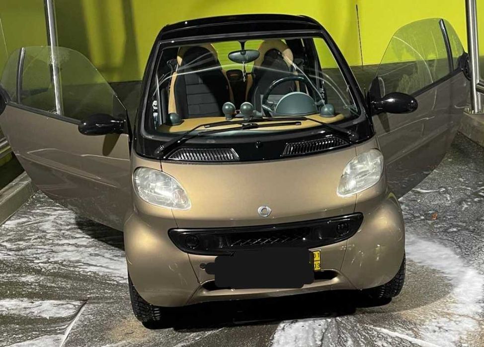 Smart fortwo panorâmico