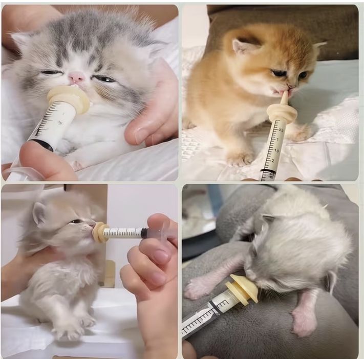 Шприцы для кормления котят /щенков/грызунов/птицы