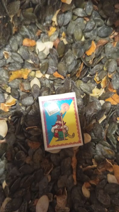 Гарбузове насіння