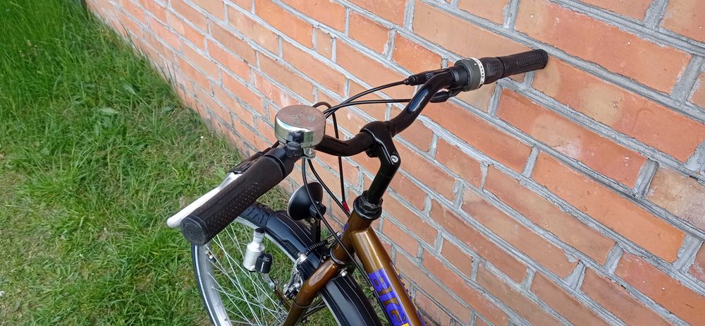 Rower młodzieżowy holenderski - jak Alpina