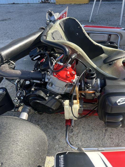 Kart BirelArt DD2