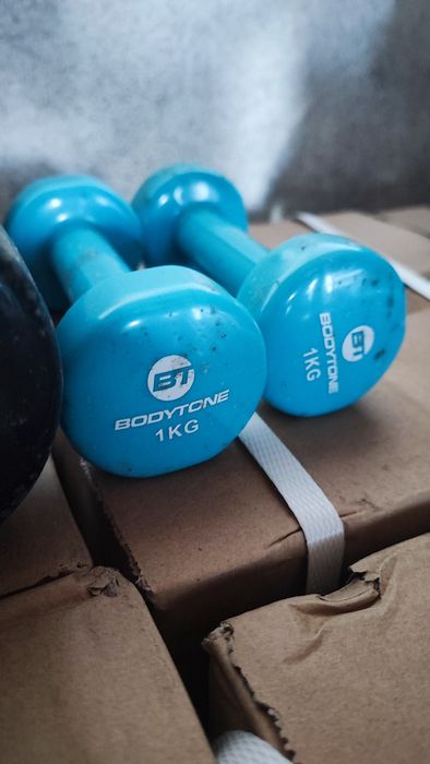 Halteres de 19 kg pesos musculação