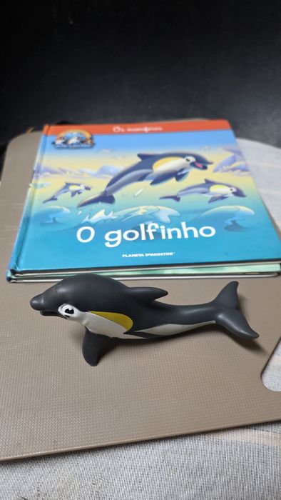 Livros com figuras