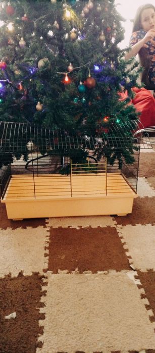 Клітка для морської свинки,шиншили,кролика