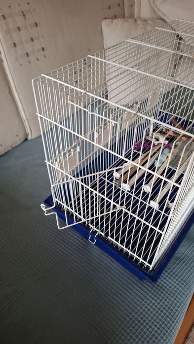 Gaiola pássaros em metal