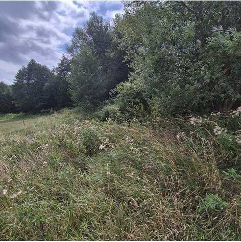 WOLANY / SZCZYTNA – 4 926 m² W spokojnej okolicy - Widok 5