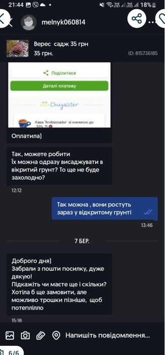 Верес , вереск  саджанці 40 грн