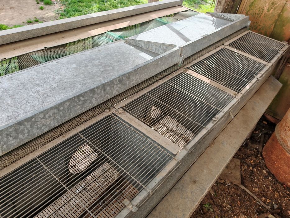 Jaula para perdizes/codornizes