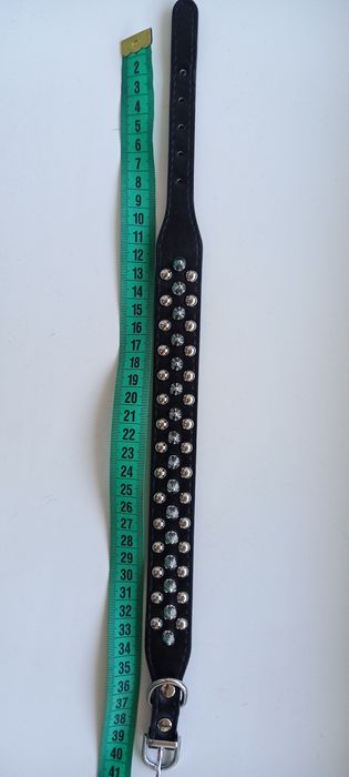 Ошійник, новий, не підійшов ,300 грн.