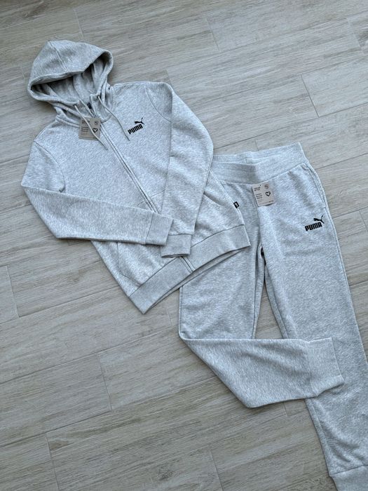Puma ESS Small Logo FZ Suit