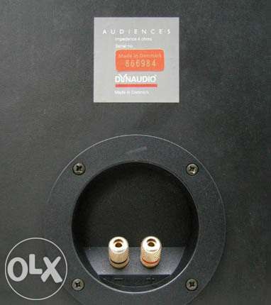 Акустика DYNAUDIO Audience 5.