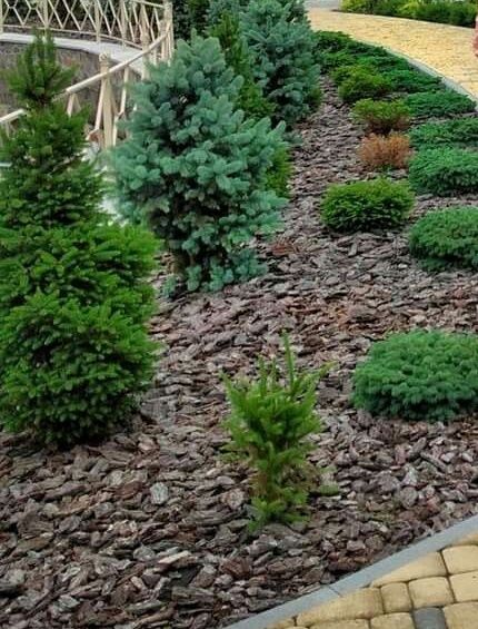 Кора соснова для саду